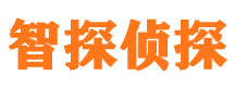 环县外遇出轨调查取证